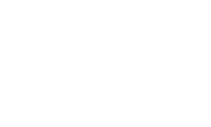 NYSCF Logo